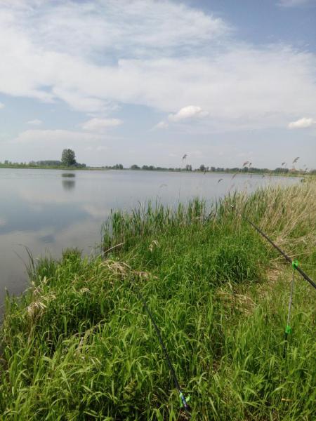 Прикрепленное изображение: IMG_20180610_134826.jpg