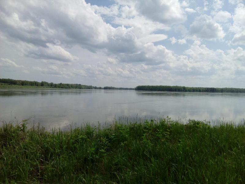 Прикрепленное изображение: IMG_20180610_151506.jpg