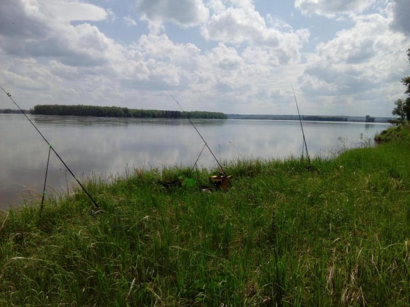 Прикрепленное изображение: IMG_20180610_151610.jpg