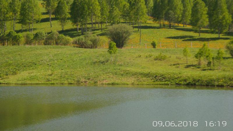 Прикрепленное изображение: 20180609_161945.jpg