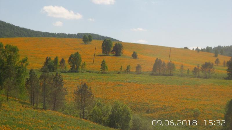 Прикрепленное изображение: 20180609_153214.jpg