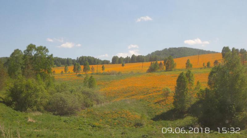Прикрепленное изображение: 20180609_153235.jpg