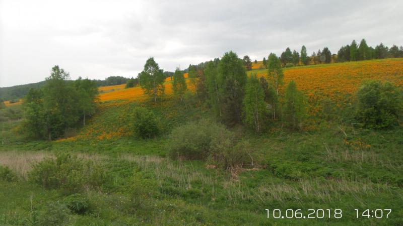 Прикрепленное изображение: 20180610_140727.jpg
