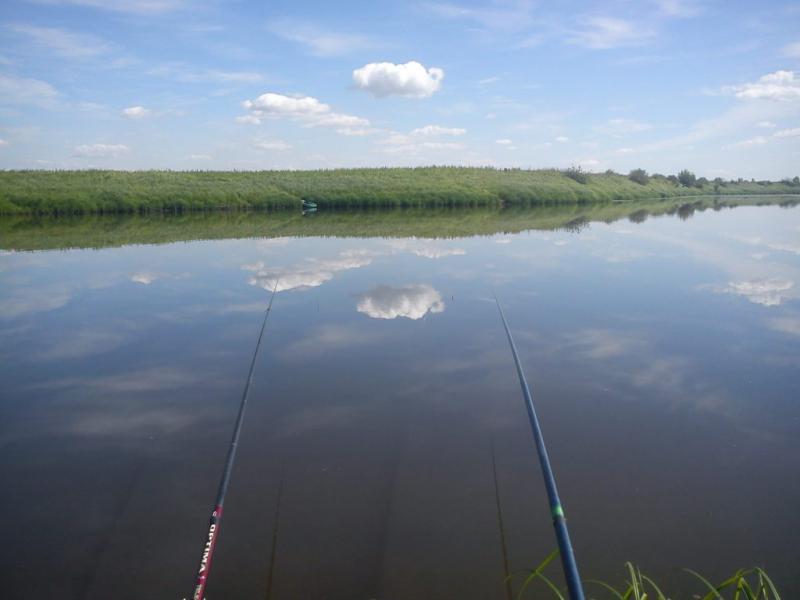DSC00006.JPG