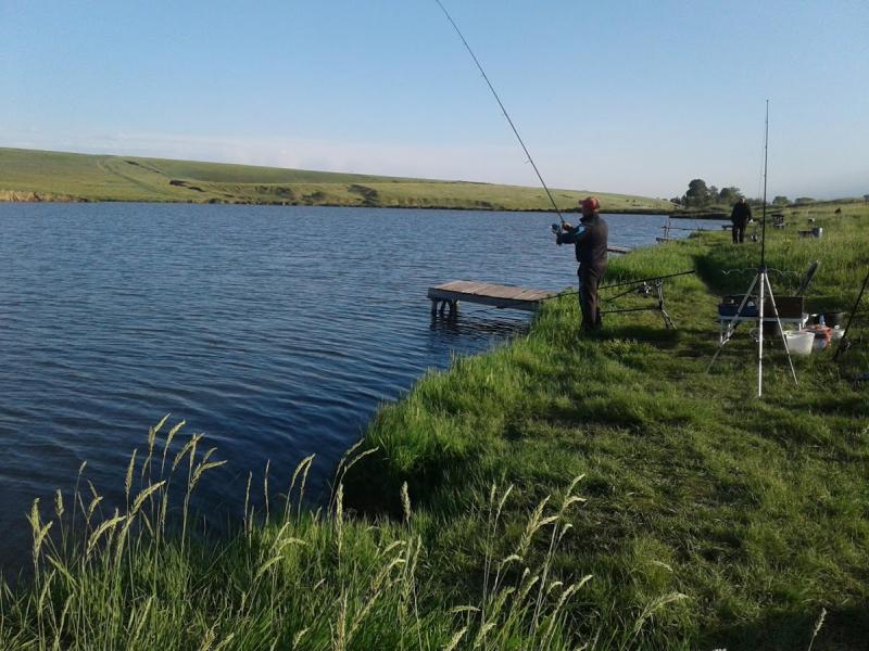 20180623_071154.jpg