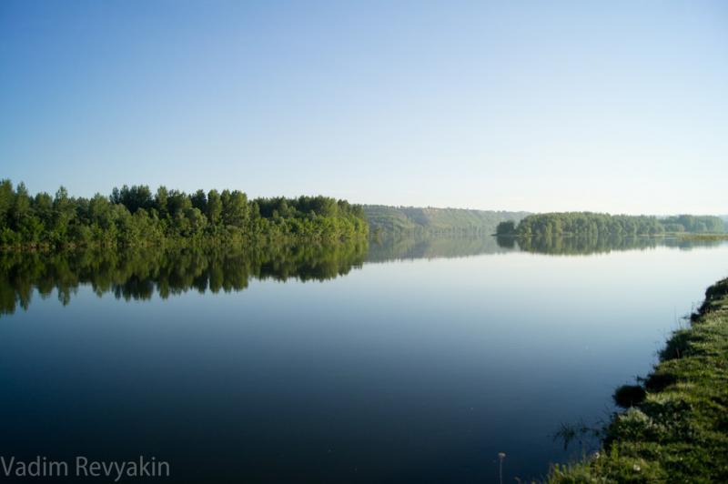 DSC00981.jpg
