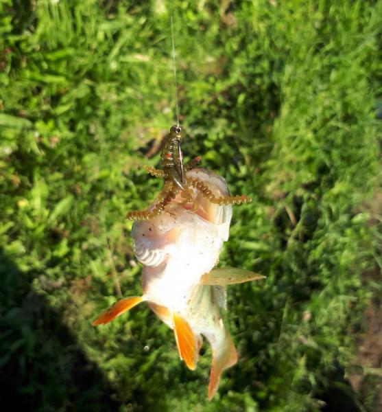 20180628_064615.jpg