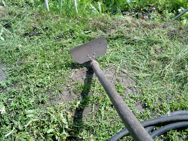 0104201010049.jpg
