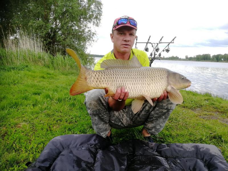 Прикрепленное изображение