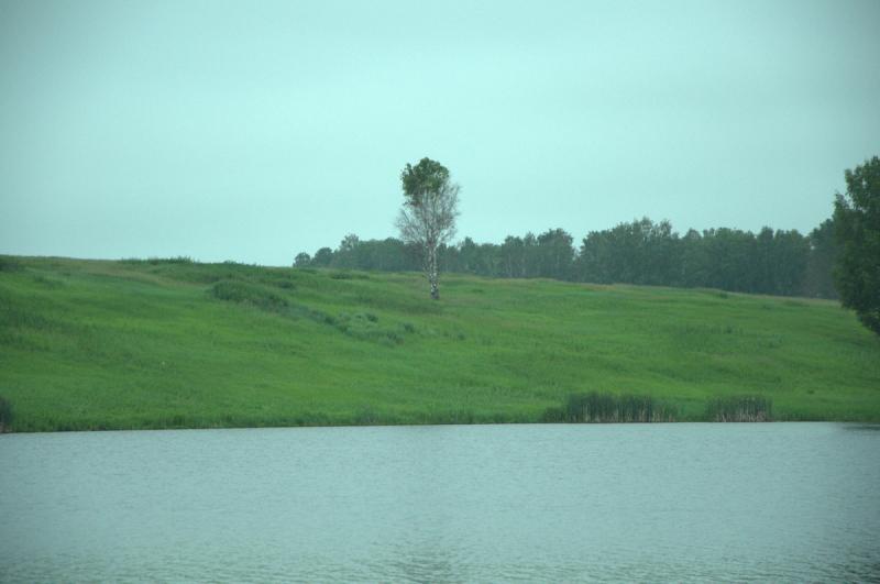 Прикрепленное изображение: DSC_1069.jpg