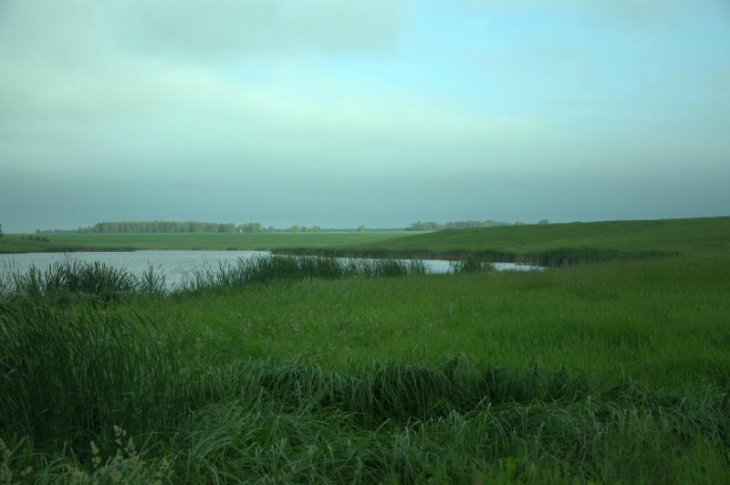 Прикрепленное изображение: DSC_1062.jpg