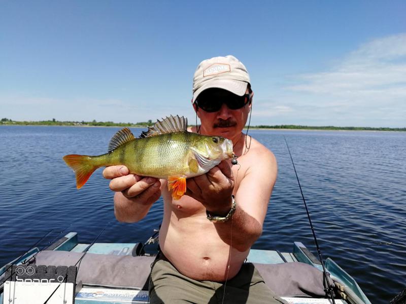 Прикрепленное изображение: IMG_20190606_123110.jpg