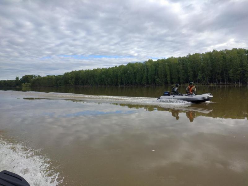 Прикрепленное изображение: P90602-075817.jpg