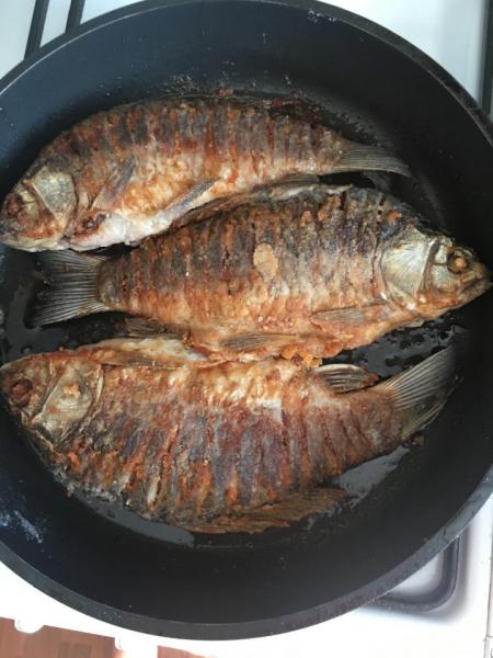 Прикрепленное изображение: 4.JPG