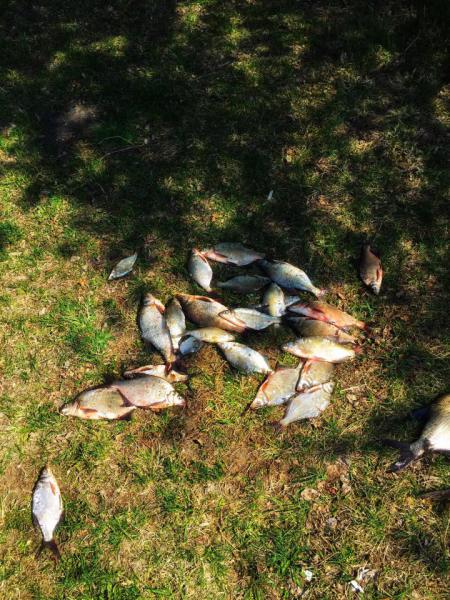 Прикрепленное изображение: 4CDF98E3-2AE2-44D2-8AD6-6EDB4DD57A66.jpeg