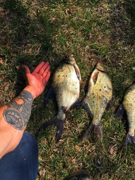 Прикрепленное изображение: E9588139-C566-441E-8097-749B75045EF4.jpeg