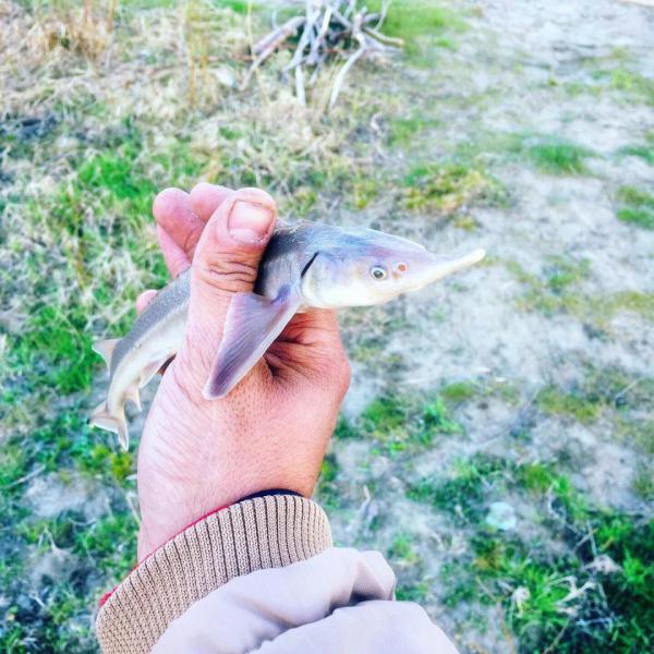 Прикрепленное изображение: BEF64A49-60FD-49FE-9A75-C7AD75AE8715.jpeg