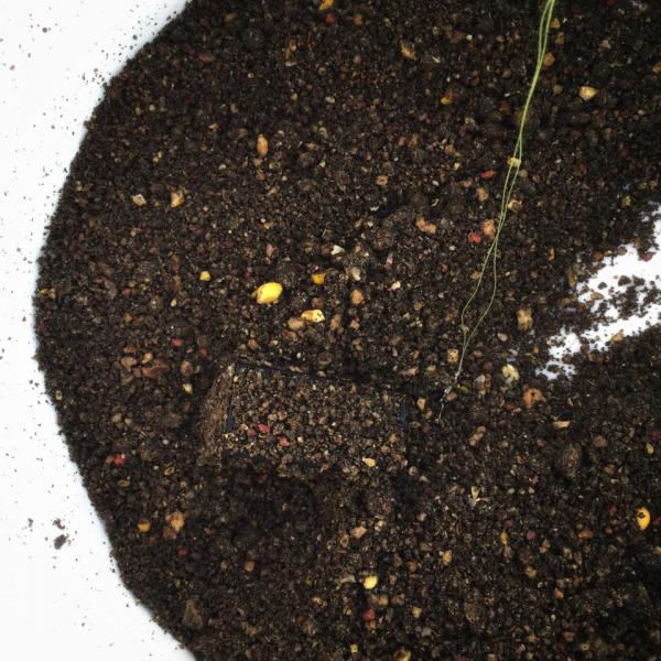 Прикрепленное изображение: 2F83B2FD-752B-404D-8821-A6156A777746.jpeg