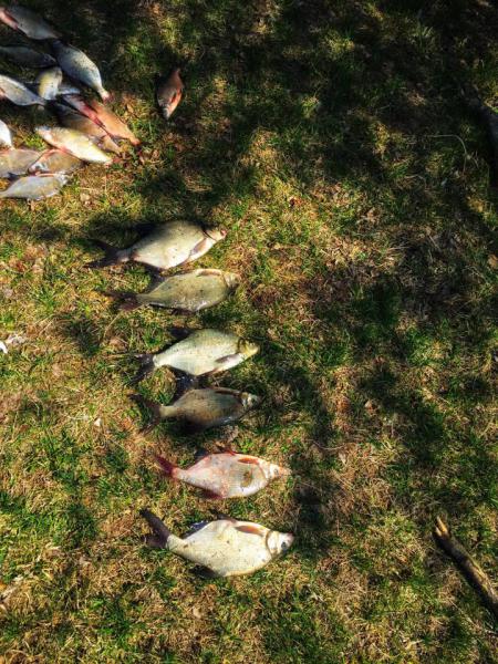 Прикрепленное изображение: 17F56EB1-0AF9-4040-B430-27F0ADC5815E.jpeg