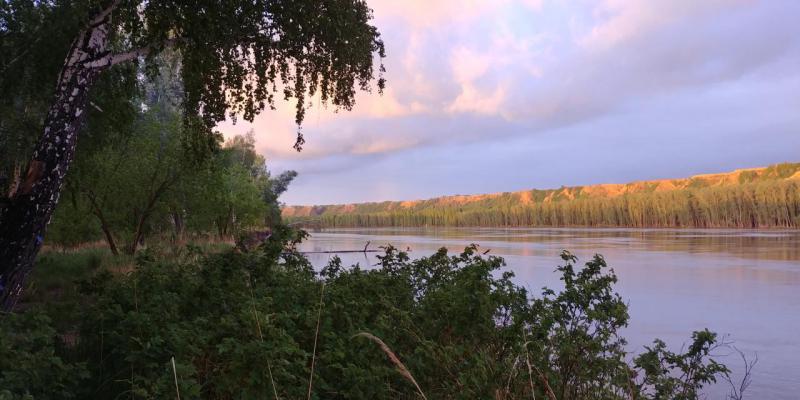 20190601_213100_HDR.jpg