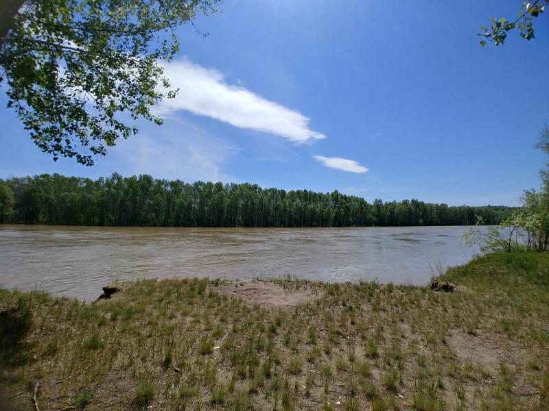20190528_124817_HDR.jpg