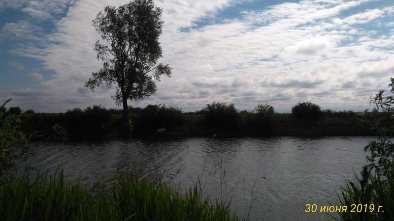 P_20190630_095247_p.jpg