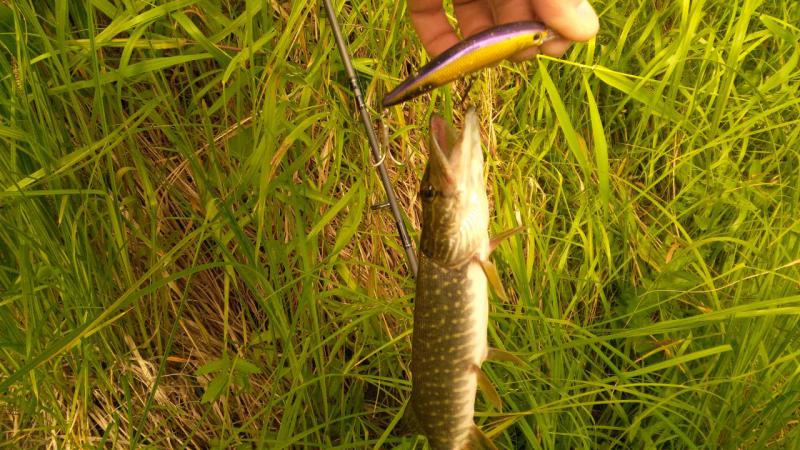 P_20190630_093307.jpg