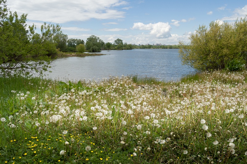 DSC_7022.jpg