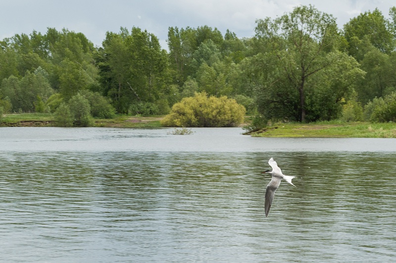 DSC_7015.jpg