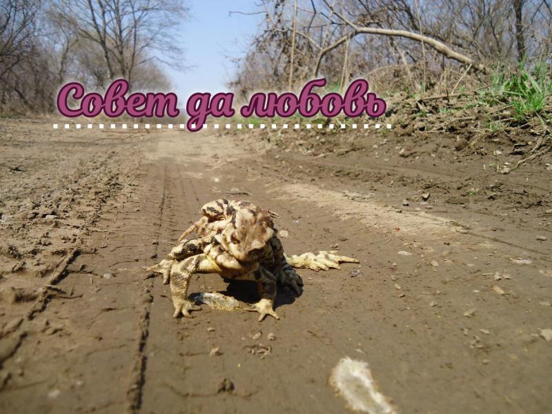 016_обработано.JPG