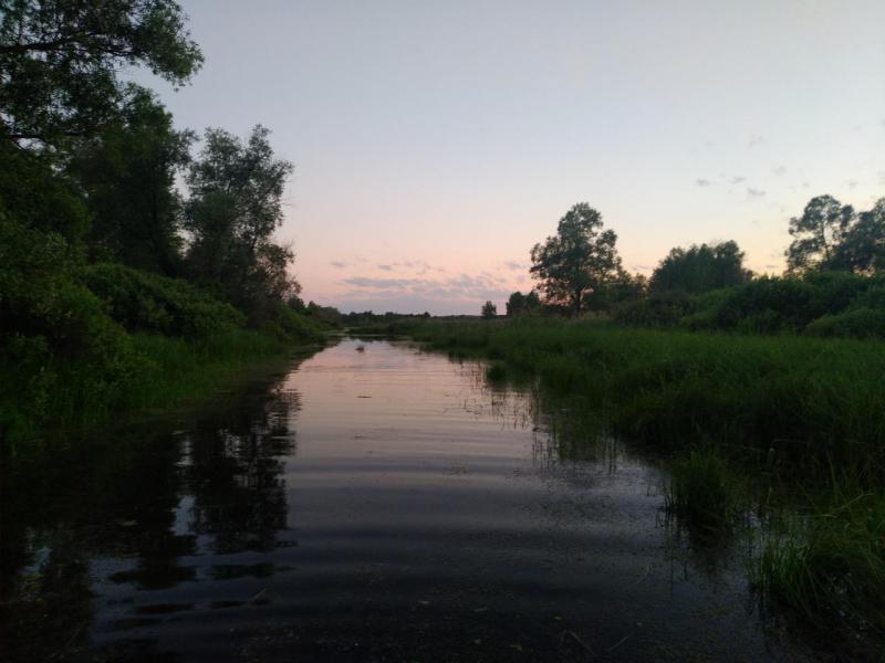 P90621-220152.jpg
