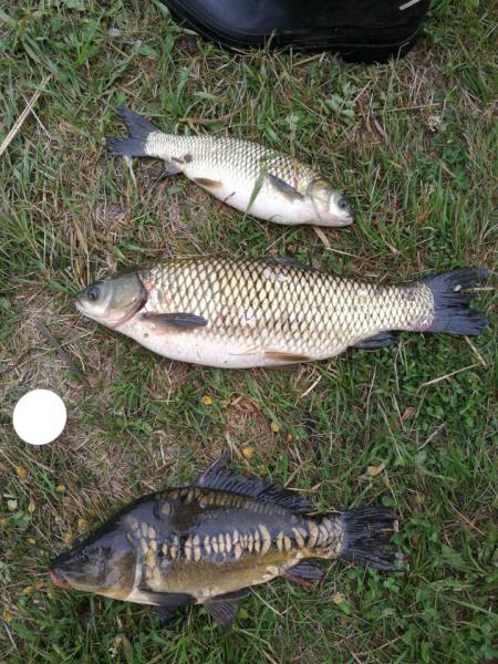 IMG_20190503_201500.jpg