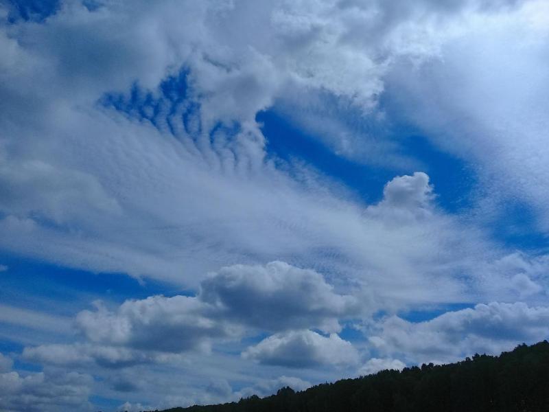 20190601_113519.jpg