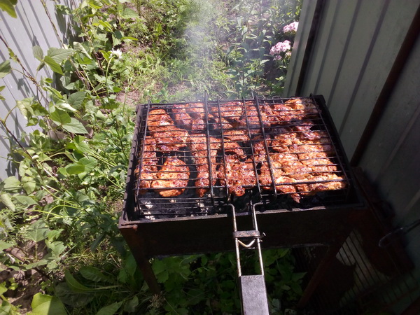 IMG_20190629_150051.jpg