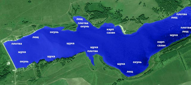 post-140-0-60989400-1464246092.jpg