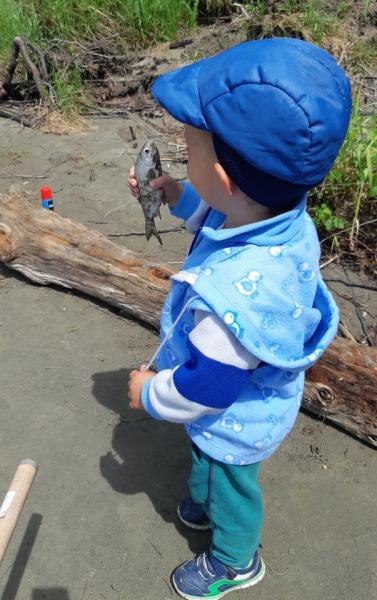 Прикрепленное изображение