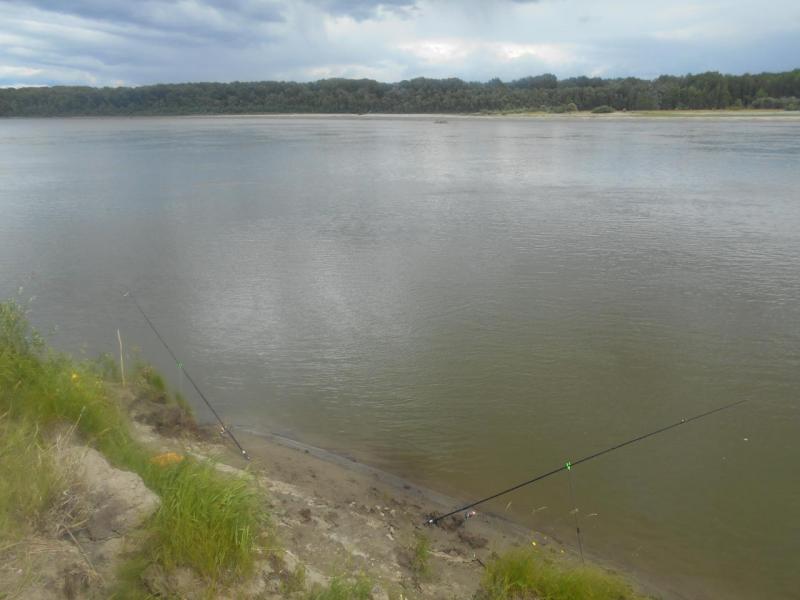 Прикрепленное изображение