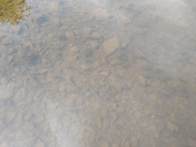 Прикрепленное изображение: IMG_20200627_140636.jpg