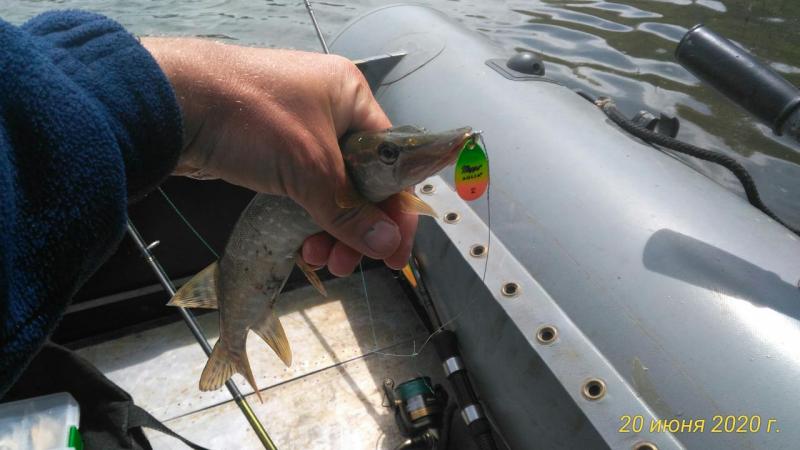 Прикрепленное изображение: P_20200620_131854_p.jpg