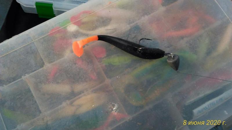 Прикрепленное изображение: P_20200608_073751_p.jpg