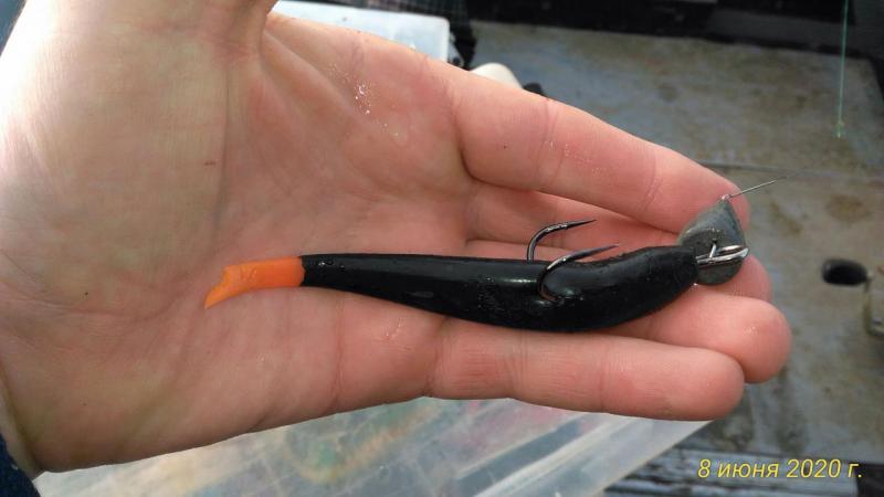 Прикрепленное изображение: P_20200608_075126_p.jpg