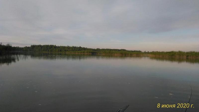 Прикрепленное изображение: P_20200608_063236_p.jpg