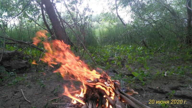 Прикрепленное изображение: P_20200620_171242_p.jpg