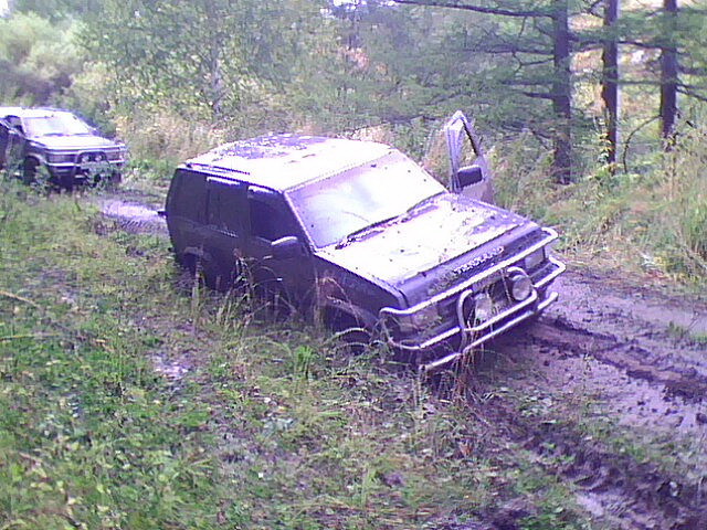 255.jpg