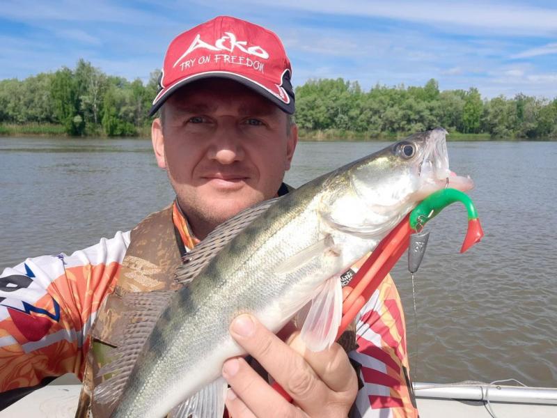 Прикрепленное изображение