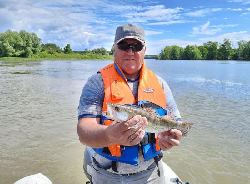 Прикрепленное изображение