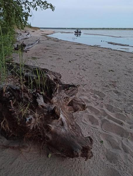 Прикрепленное изображение