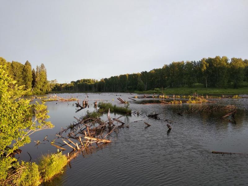 Прикрепленное изображение: IMG_20210624_054112.jpg