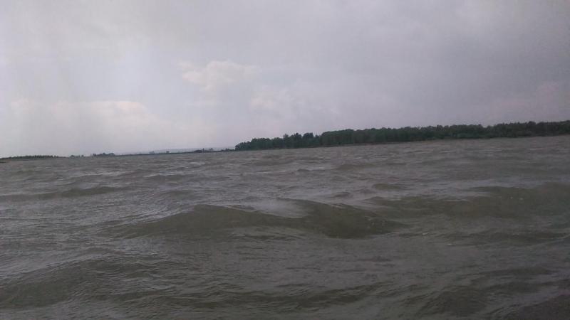 P_20220617_133230.jpg