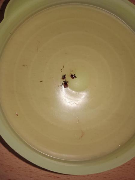 IMG-20220609-WA0045.jpg